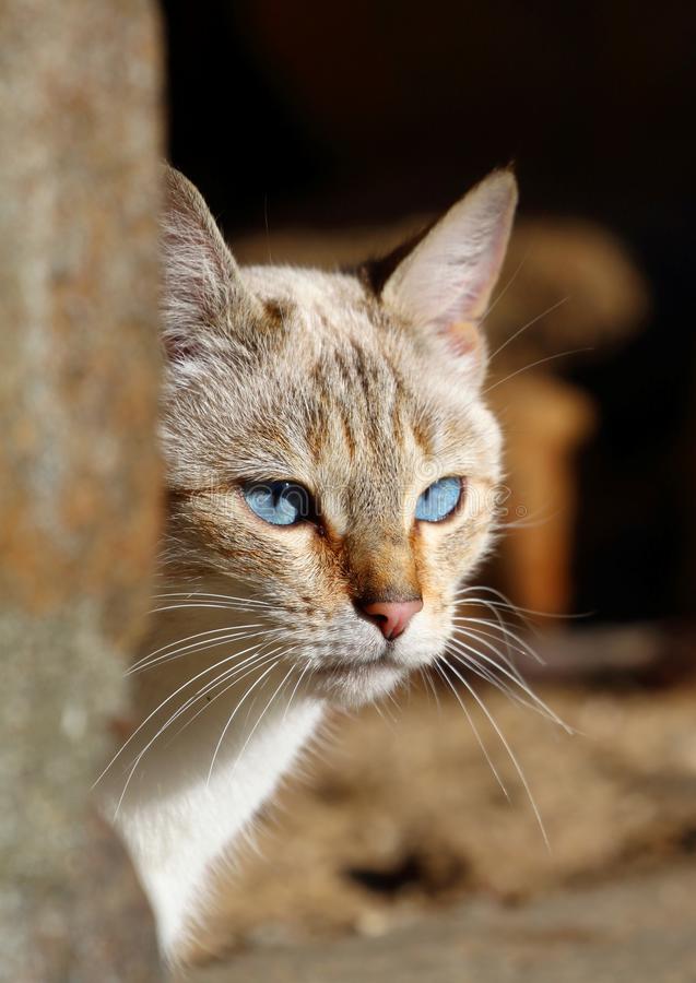 网格化管理理论成功解农村消防工作问题_火狐电竞平台(图1) 火狐电竞平台