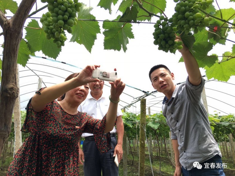 网格化管理理论成功解农村消防工作问题_火狐电竞平台(图2) 火狐电竞官网